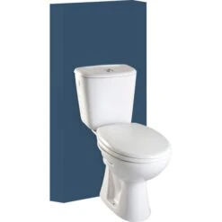 Pack WC à Poser Sortie Horizontale Cali