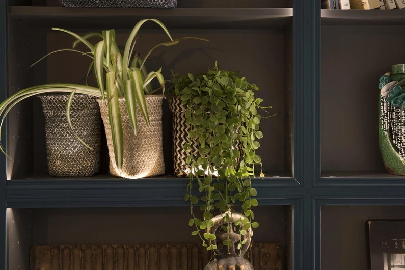 Panier En Jonc De Mer, Ethno Zigzag, Black N°0 3 Panier En Jonc De Mer, Ethno Zigzag, Black N°0 – Image 3