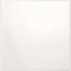 Carrelage Mur Uni Blanc Brillante L.20 X L.20 Cm, Frosty