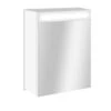 Armoire De Toilette Lumineuse L. 45 Cm, SENSEA Telio