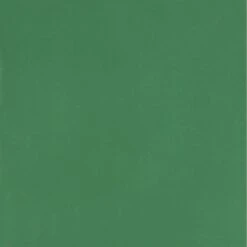 Carreau De Ciment Mur Uni Vert Mat L.20 X L.20 Cm, Rotterdam #9